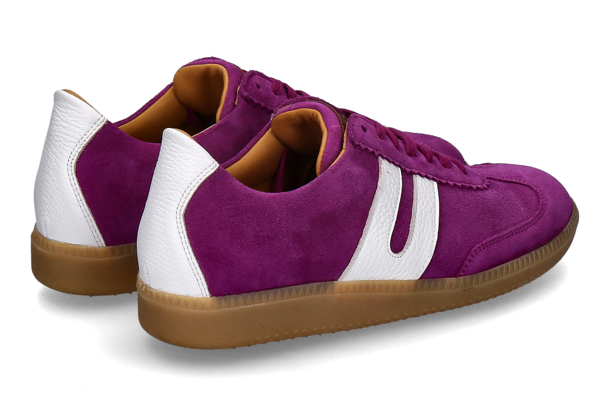 Ludwig Reiter lila_232900563_2