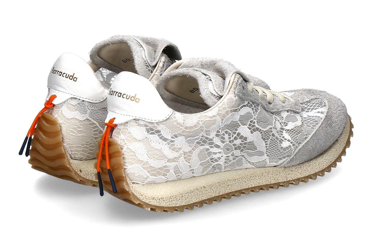 Barracuda ottico_232900552_2