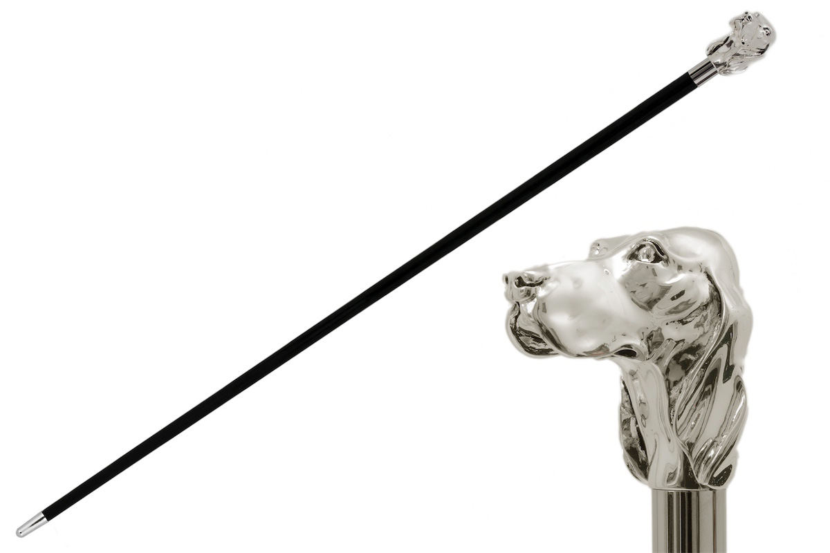 Pasotti Spazierstock FIDO SILVER