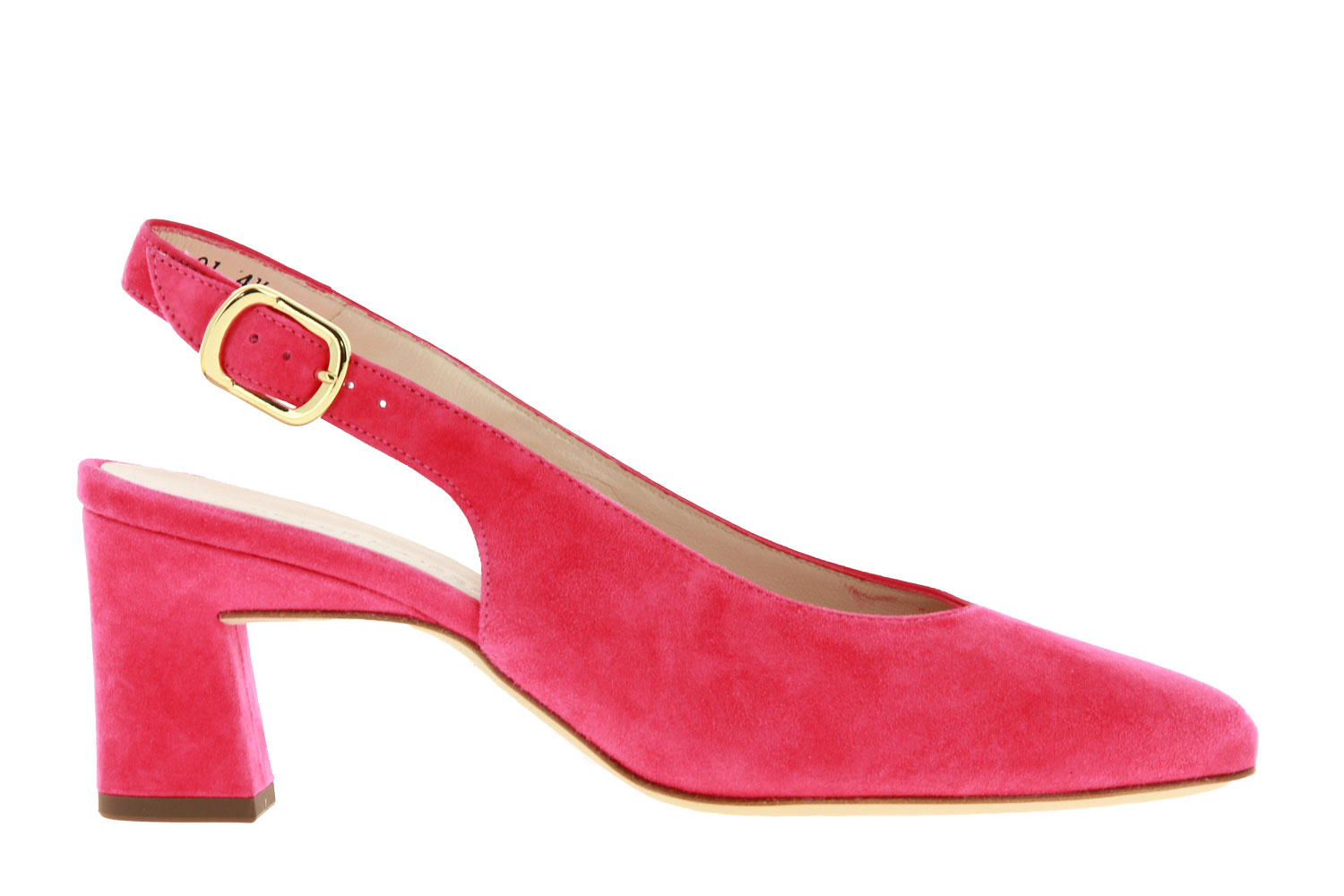 peter_kaiser_2235_00082_3_