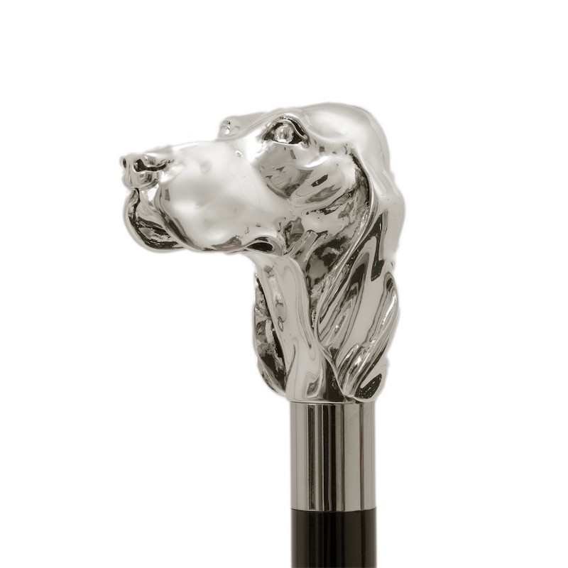 Pasotti Spazierstock FIDO SILVER
