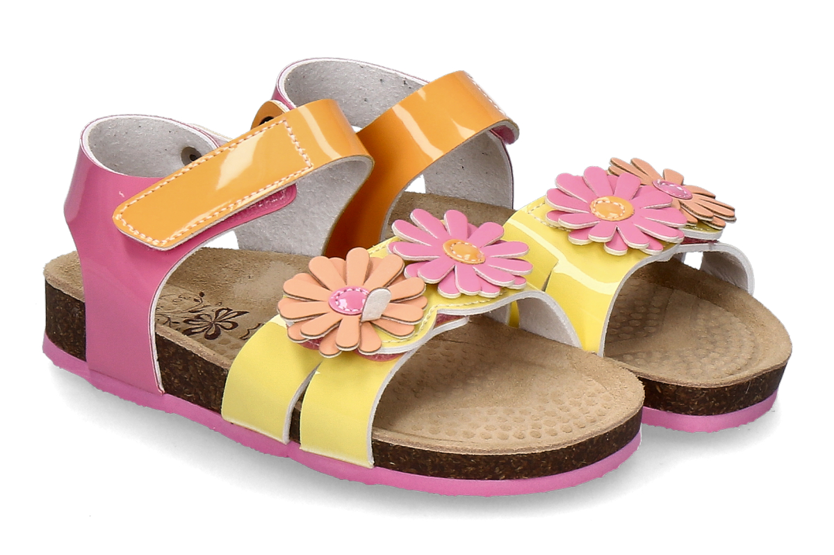 PRIMIGI-rosa_385900004_1