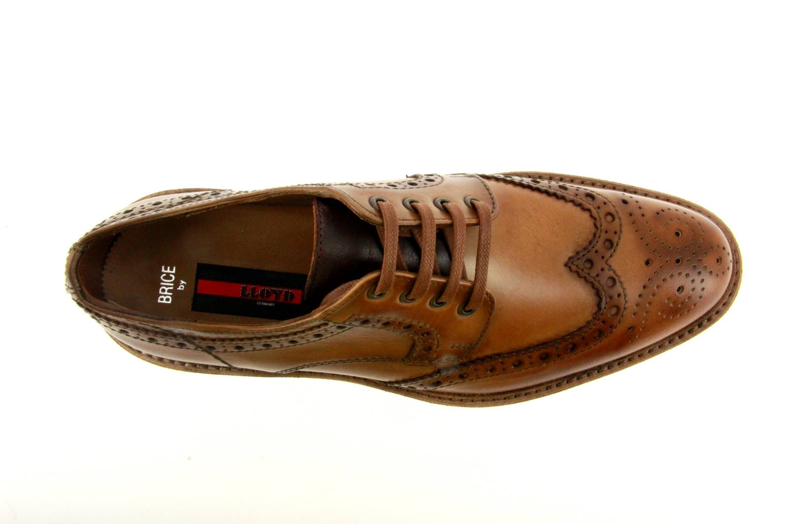 lloyd-brice-25-546-13-4