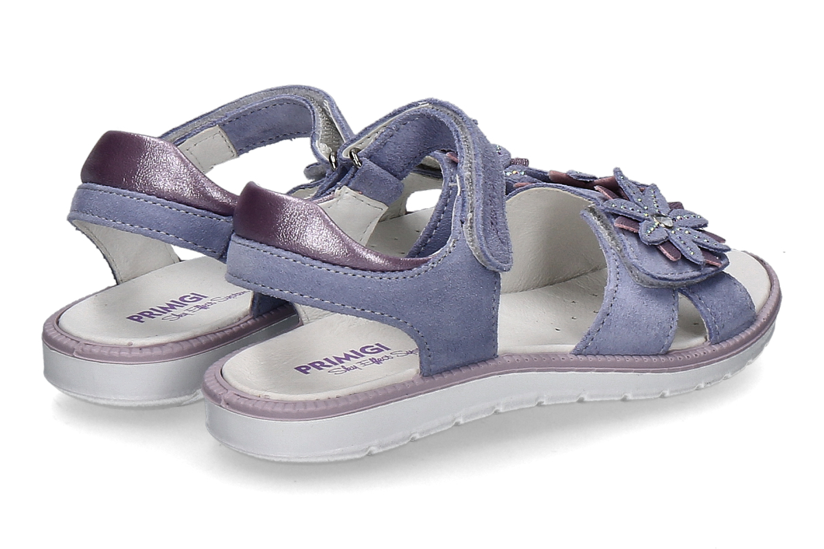 PRIMIGI scamosciato indaco_482800002_2