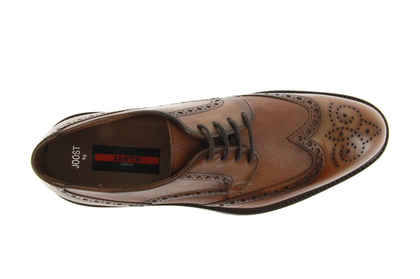 Lloyd lace-up JOOST SPLENDER CALF COGNAC