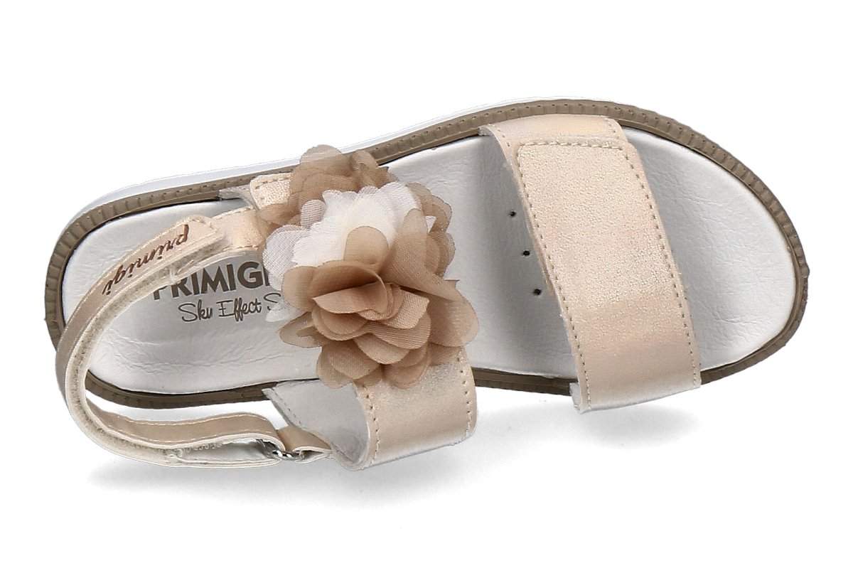 PRIMIGI-chiffon-multicolour_482900027_10