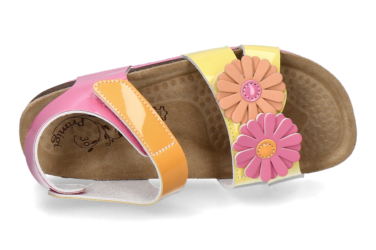 PRIMIGI-rosa_385900004_5