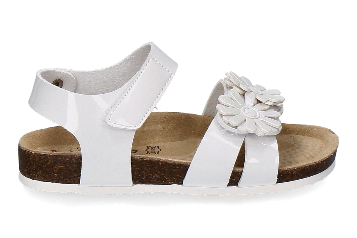 PRIMIGI-bianco_385100000_2