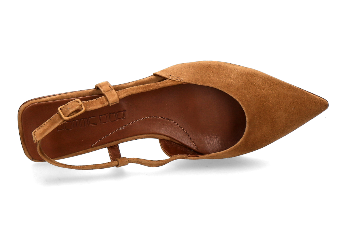 Pomme D or CamBisc_294400016_5