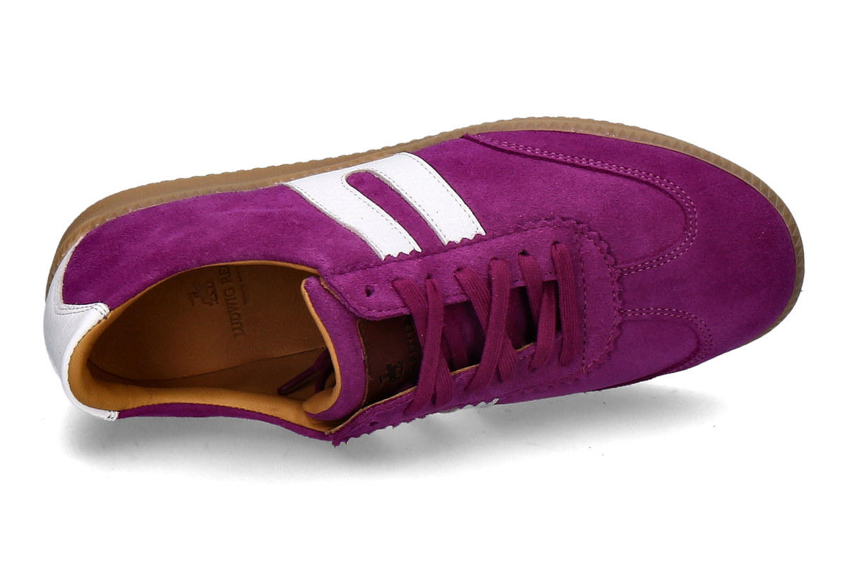 Ludwig Reiter lila_232900563_5