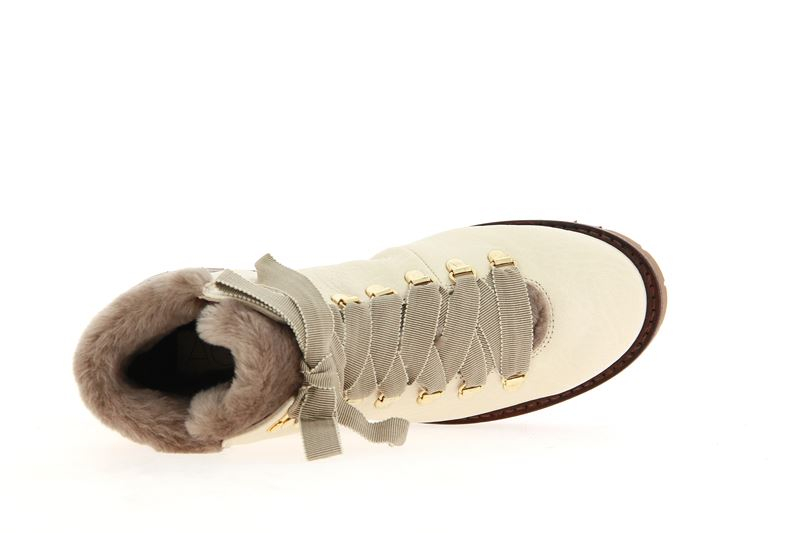 attilio-giusti-leombruni-agl-d716550-wolf-0005