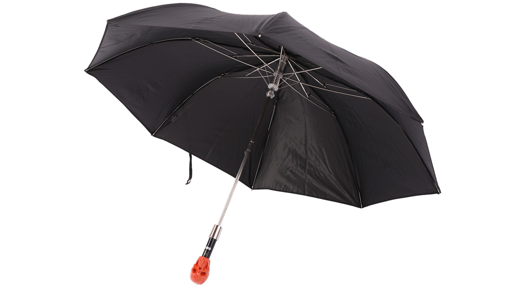 Walking sticks umbrella 