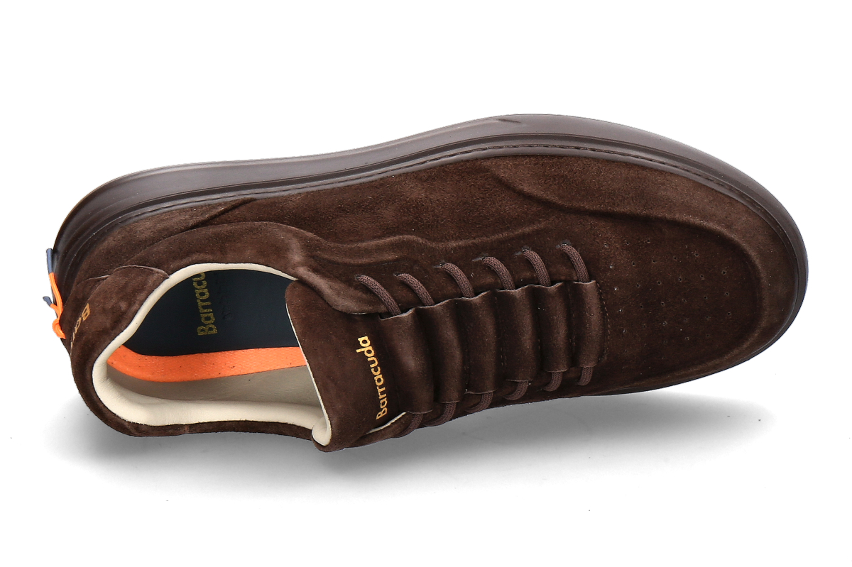 Barracuda Herren- Sneaker PHONIX- dunkelbraun_132300252_5