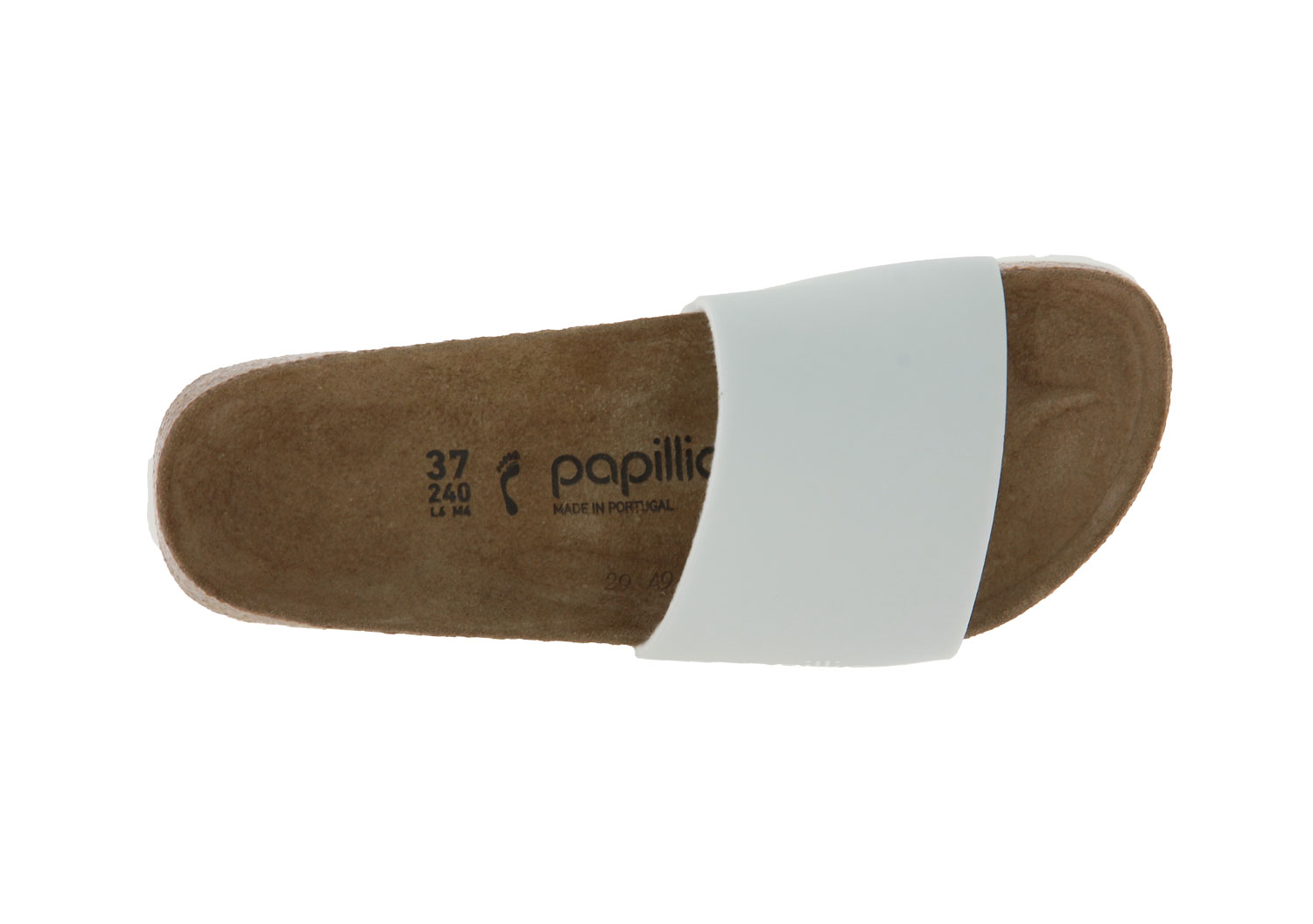 papillio-2748-00004-4