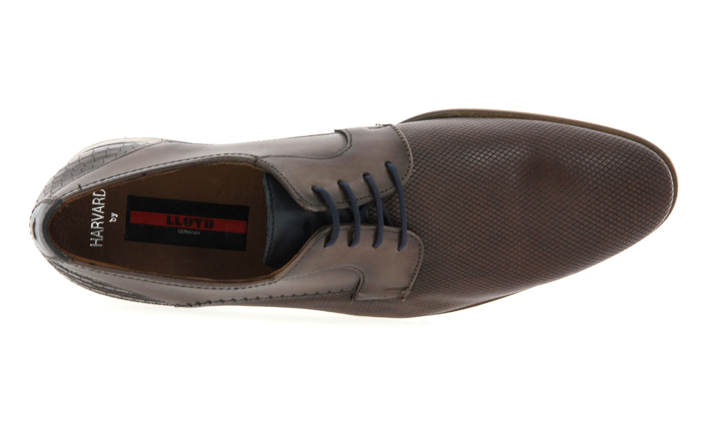 Lloyd lace-up HARCARD INFINITY PACIFIC T.D.MORO