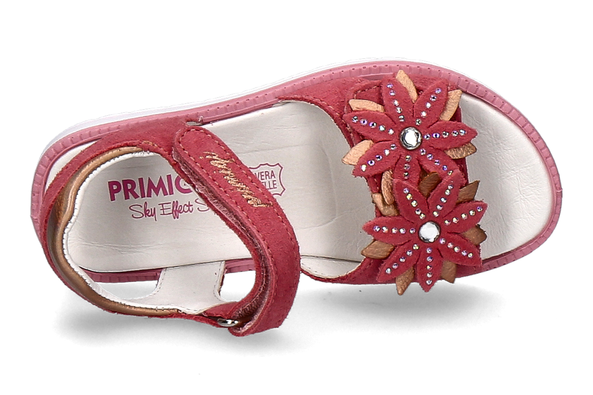 PRIMIGI scamosciato geranio_482500005_5